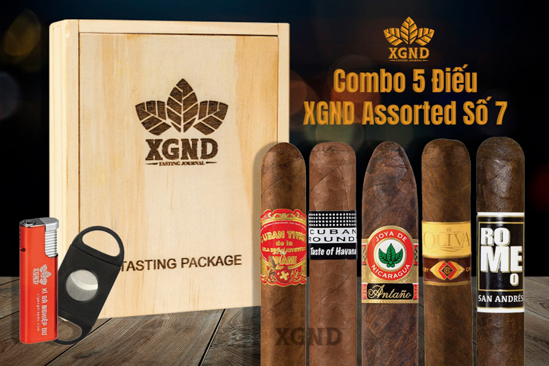 Combo 5 Điếu Xì Gà XGND Assorted Số 7 Chính Hãng