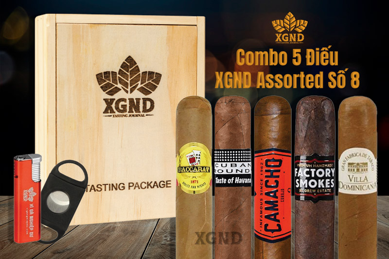 Combo 5 Điếu Xì Gà XGND Assorted Số 8 Chính Hãng