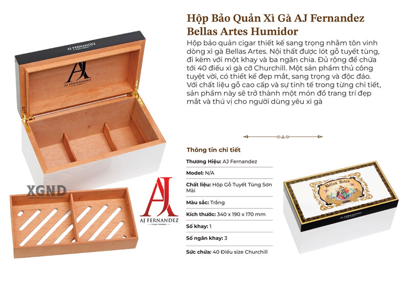 Hộp Bảo Quản Xì Gà AJ Fernandez Bellas Artes Humidor Chính Hãng