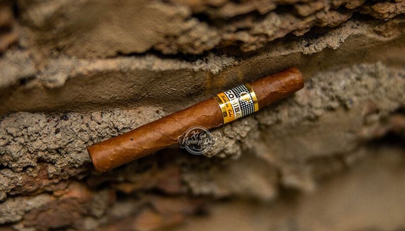 Xì Gà Cohiba Short - Xì Gà Chính Hãng