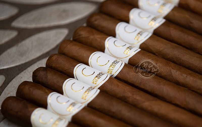 Xì Gà Humidor Selection C - Cigar Honduras Chính Hãng