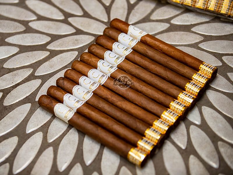 Xì Gà Humidor Selection C - Cigar Honduras Chính Hãng