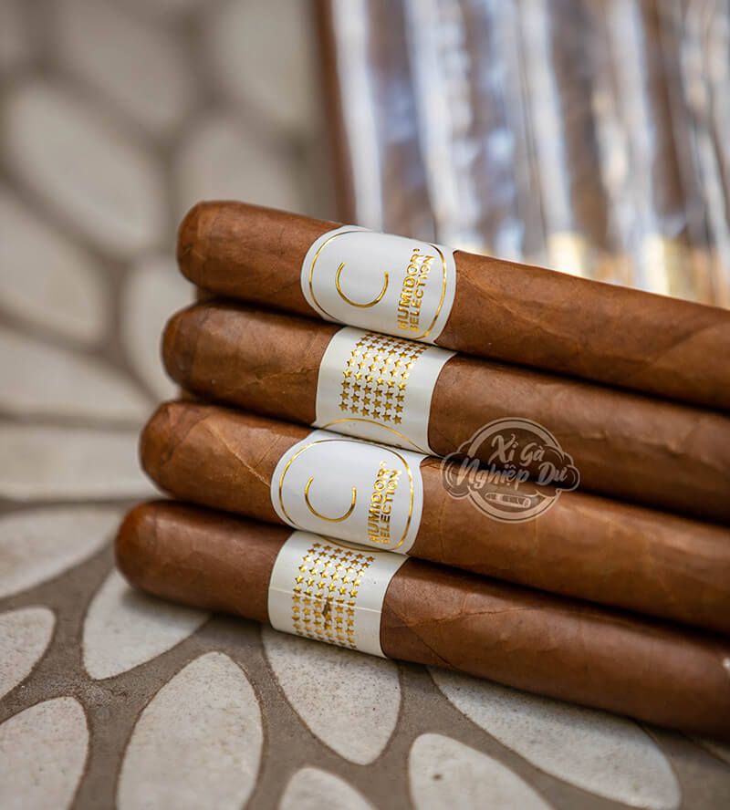 Xì Gà Humidor Selection C - Cigar Honduras Chính Hãng