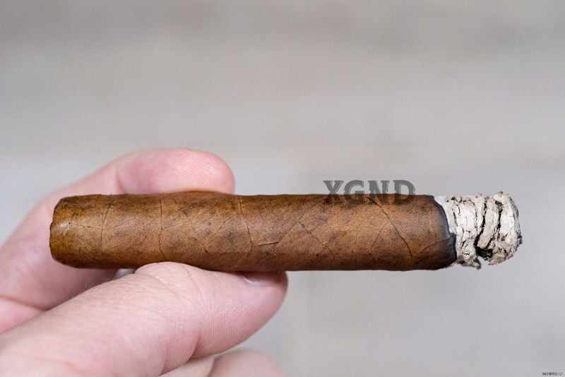 Xì Gà Liga Privada H99 Papas Fritas - Cigar Chính Hãng