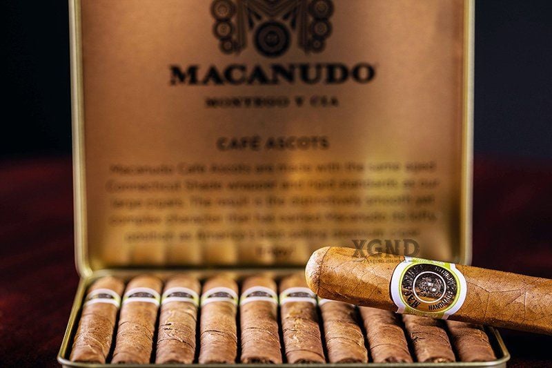 Xì Gà Macanudo Cafe Ascot - Cigar Chính Hãng