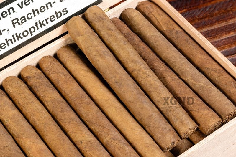 Xì Gà Meine Cigarillos 60er Sumatra Zigarren - Cigar Chính Hãng