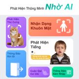 Camera Wifi Trong Nhà Botslab C222
