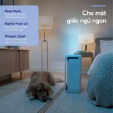 Máy Lọc Không Khí Levoit Vital 200S