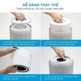 Lõi Lọc Diệt Khuẩn Tiêu Chuẩn Cho Levoit Core P350 RF