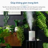 Máy Phun Sương Tạo Ẩm Levoit Dual 150 Ultrasonic