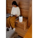 Máy Lọc Không Khí Levoit Core Mini