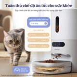 Máy Cho Chó Mèo Ăn Thông Minh Pawsync