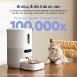 Máy Cho Chó Mèo Ăn Thông Minh Pawsync