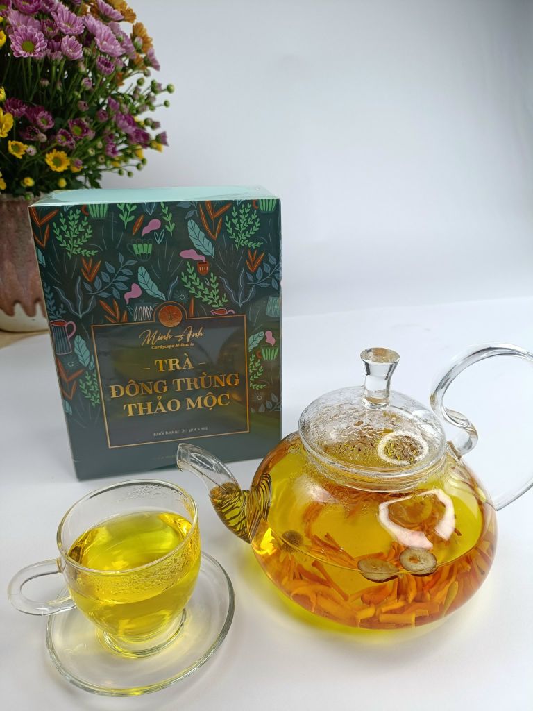 Trà Đông Trùng Thảo Mộc