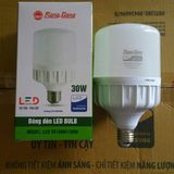 Bóng đèn LED BULB trụ 30W Rạng Đông - thân nhựa ánh sáng trắng