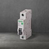 CB 1 tép Schneider 25a , 32a - hàng cao cấp