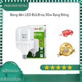 Bóng đèn LED BULB trụ 30W Rạng Đông - thân nhựa ánh sáng trắng