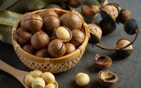 Hạt Macca Hộp 500g