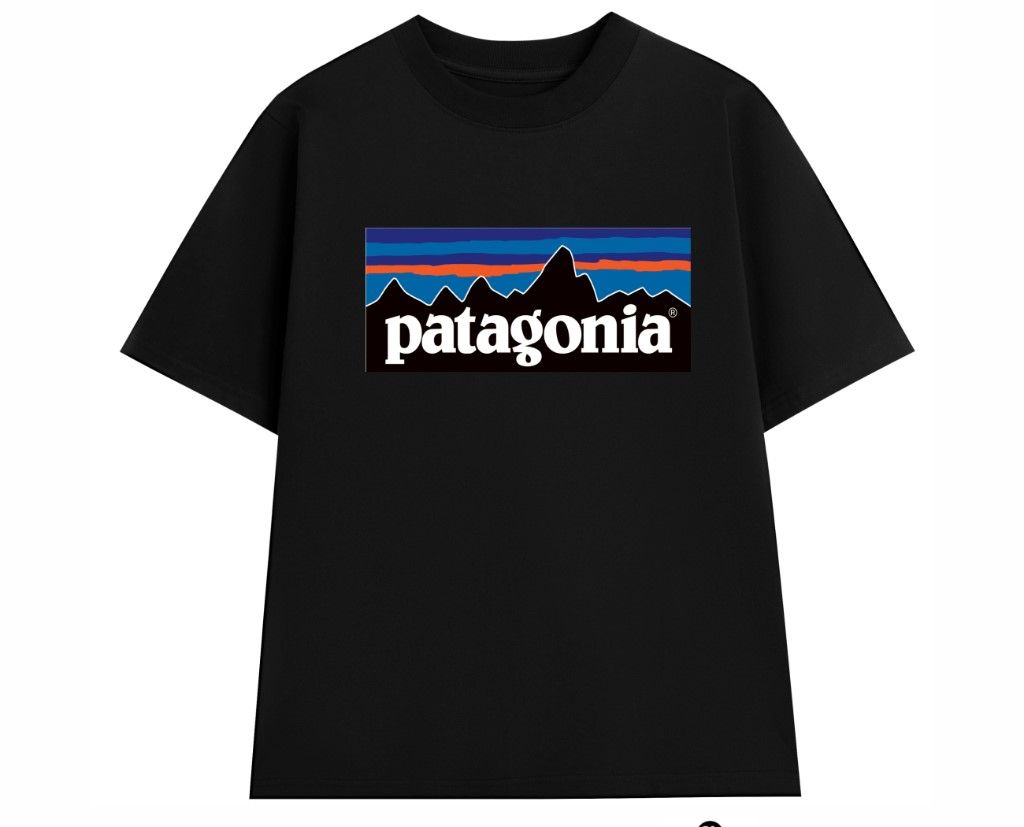 ÁO THUN PATAGONIA