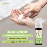 Sữa rửa mặt tạo bọt Zelenaya Apteka dành cho da dầu và da thường 150ml