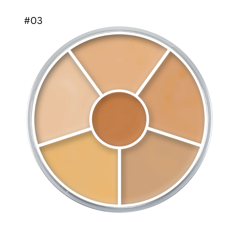 Che Khuyết Điểm Triệt Sắc Kryolan Concealer Circle 6 ô 40g - Màu #03