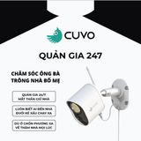  QUẢN GIA 247 