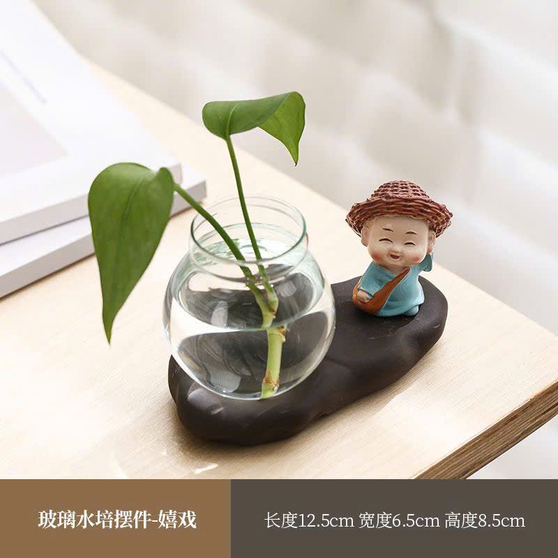 Chậu Cây Thủy Sinh