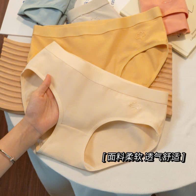 SET 7 QUẦN CHÍP NỮ