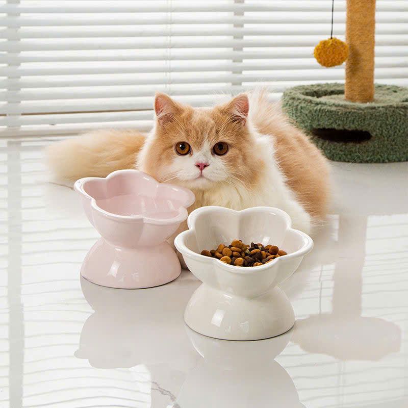 Chén Sứ Thức Ăn Cho Thú Cưng