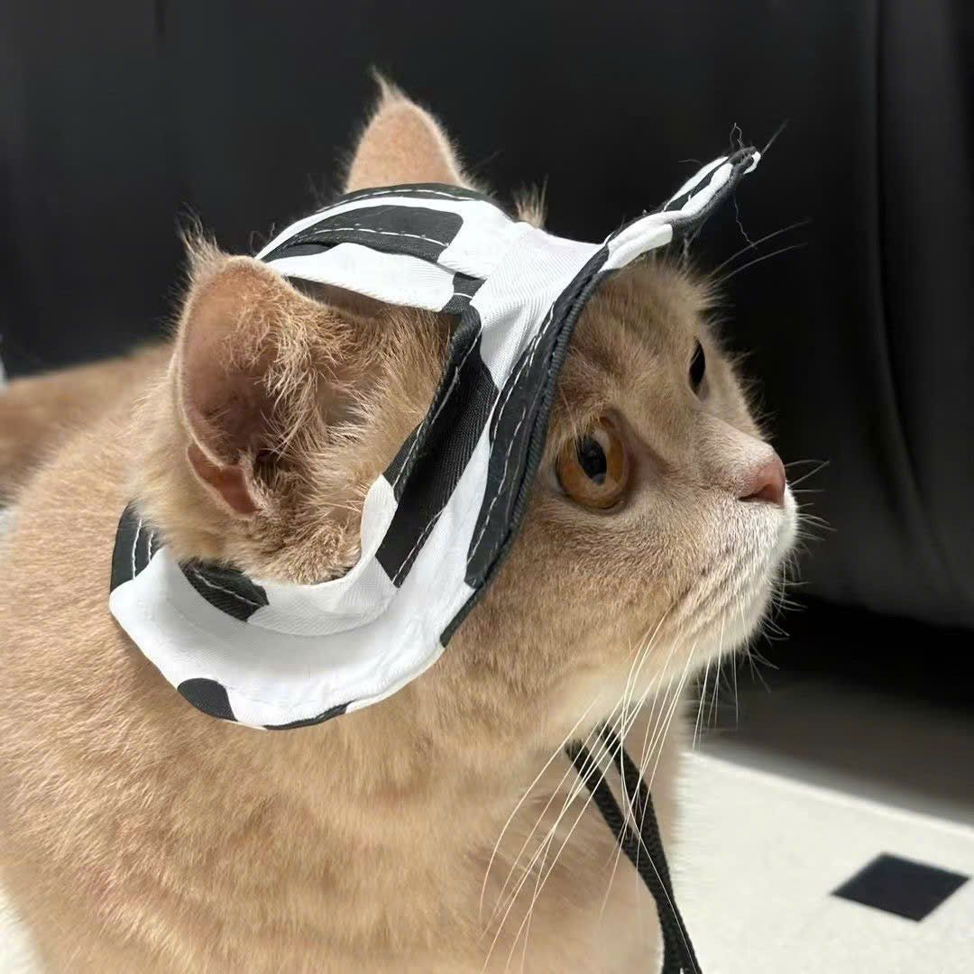Nón Tai Bèo Cho Thú Cưng Có Tai