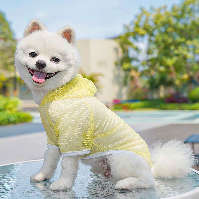 Áo Lưới Cho Thú Cưng