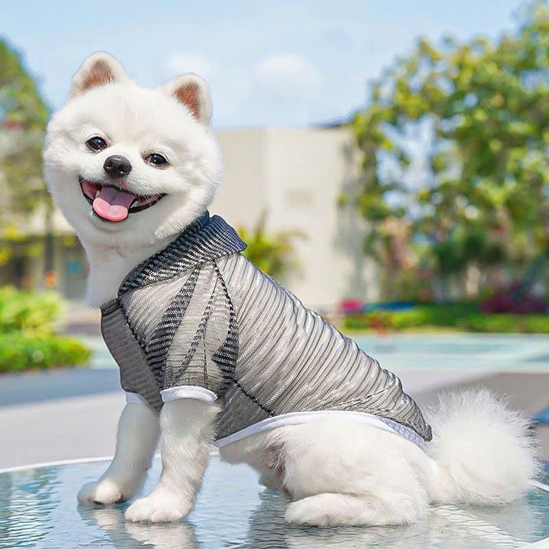 Áo Lưới Cho Thú Cưng