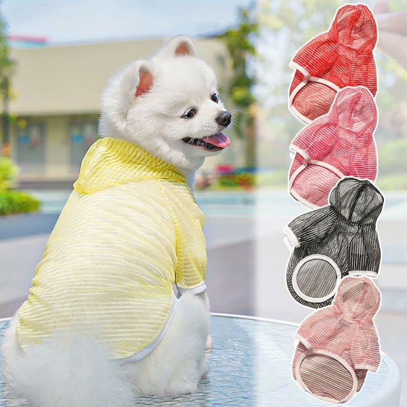 Áo Lưới Cho Thú Cưng
