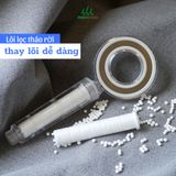 Vòi Sen Tăng Áp Lọc Nước SL700