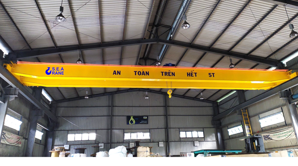  CẦU TRỤC DẦM ĐÔI 5 TẤN 