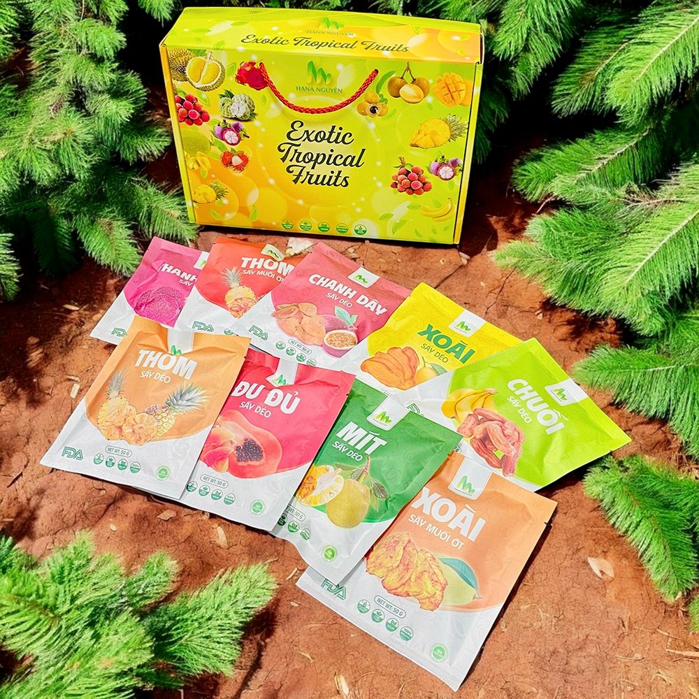 Combo 9 Loại Trái Cây Sấy Dẻo Hana Nguyên – Túi 50g