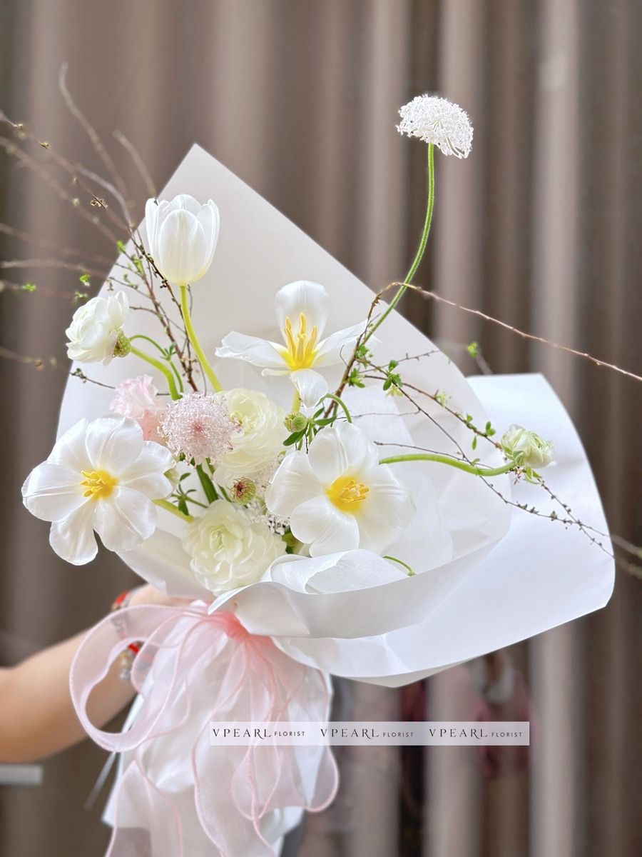 TL - Bó Tulip Hà Lan