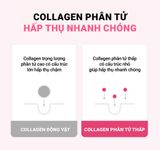 Mặt nạ WONJIN Siêu Tinh Chất Nâng Cơ và Trẻ Hoá Da (50 miếng/hộp)