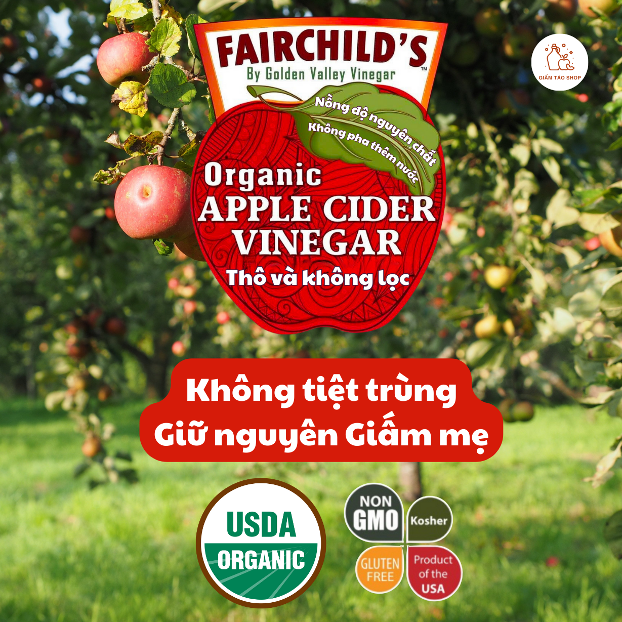 Giấm táo Hữu cơ Nguyên chất Không lọc FairChild's (Mỹ) dung tích 473ml