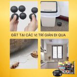 A723- Viên diệt gián nhật bản