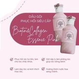 E87 - Cặp gội xả biotin collagen Essence Voudioty 500ml (MÀU HỒNG )