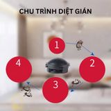 A723- Viên diệt gián nhật bản