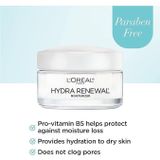 E32 - Kem loreal Paris Hydra Renewal 48g Pro vitamin B5