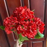 PK33- Hoa tú cầu lớn