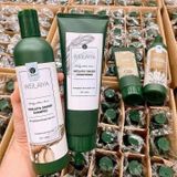S195 - Cặp gội xả Weilaya (tặng set mini)