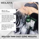 S195 - Cặp gội xả Weilaya (tặng set mini)