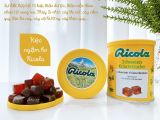 E97 - Kẹo thảo mộc Ricola Đức HỘP 250g