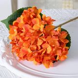 PK33- Hoa tú cầu lớn