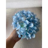 PK33- Hoa tú cầu lớn