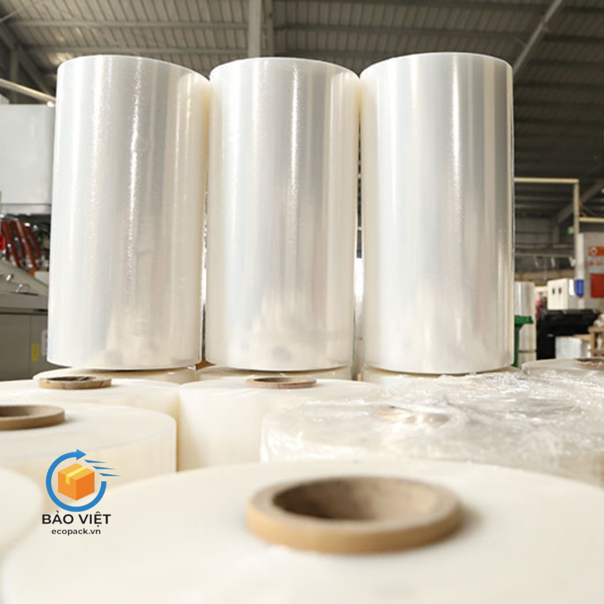 Màng bọc thực phẩm PVC